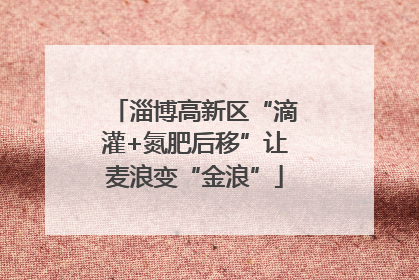淄博高新区“滴灌+氮肥后移”让麦浪变“金浪”