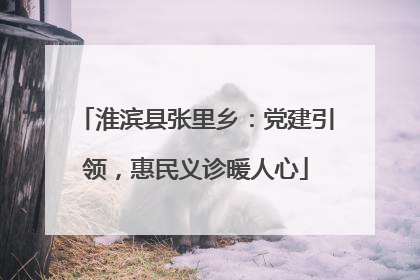 淮滨县张里乡：党建引领，惠民义诊暖人心