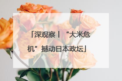 深观察丨“大米危机”撼动日本政坛