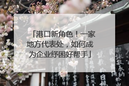 港口新角色！一家地方代表处，如何成为企业纾困好帮手