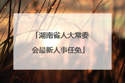 湖南省人大常委会最新人事任免
