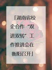 湖南省校企合作“双进双转”工作推进会在衡阳召开