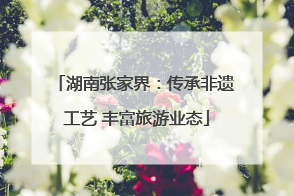 湖南张家界：传承非遗工艺 丰富旅游业态