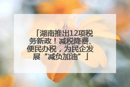 湖南推出12项税务新政！减税降费、便民办税，为民企发展“减负加油”