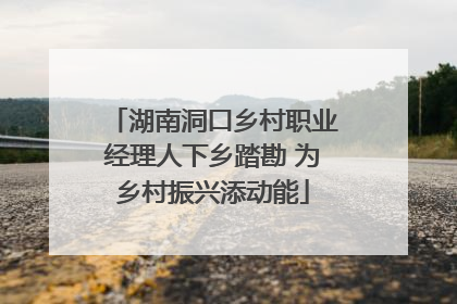 湖南洞口乡村职业经理人下乡踏勘 为乡村振兴添动能