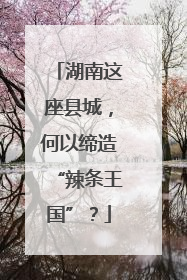 湖南这座县城，何以缔造“辣条王国”？