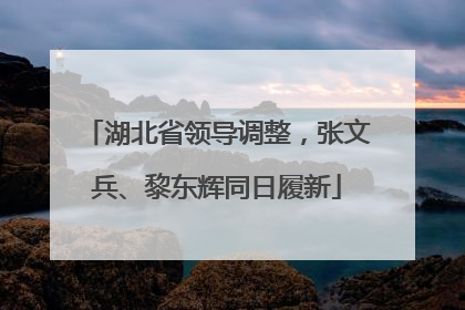 湖北省领导调整，张文兵、黎东辉同日履新