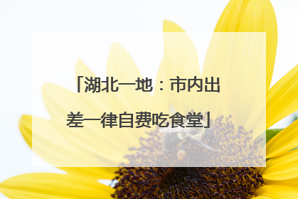 湖北一地：市内出差一律自费吃食堂