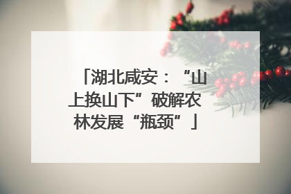 湖北咸安：“山上换山下”破解农林发展“瓶颈”
