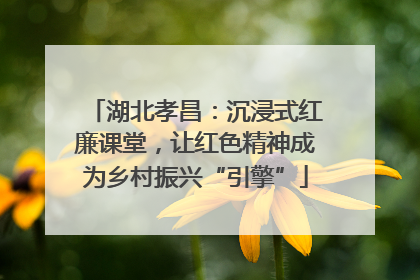 湖北孝昌：沉浸式红廉课堂，让红色精神成为乡村振兴“引擎”