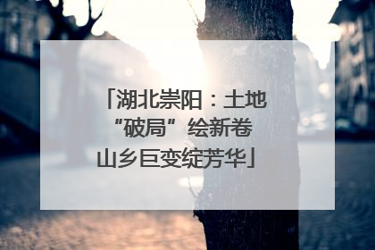 湖北崇阳：土地“破局”绘新卷 山乡巨变绽芳华