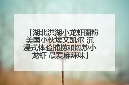湖北洪湖小龙虾圈粉美国小伙埃文凯尔 沉浸式体验捕捞和爆炒小龙虾 最爱麻辣味