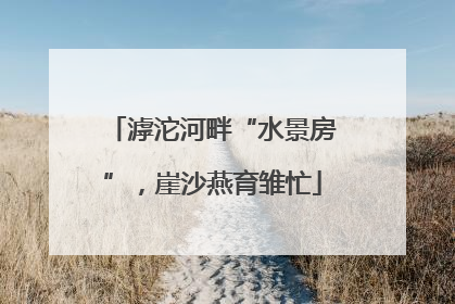 滹沱河畔“水景房”，崖沙燕育雏忙