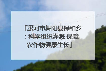 漯河市舞阳县保和乡：科学组织灌溉 保障农作物健康生长