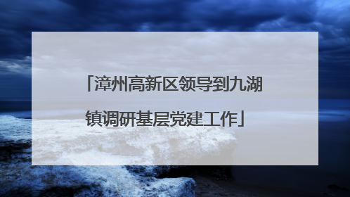 漳州高新区领导到九湖镇调研基层党建工作