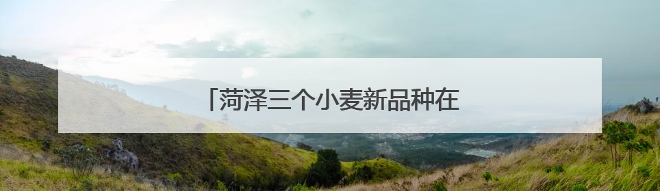 菏泽三个小麦新品种在新疆戈壁滩试种成功