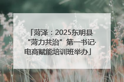 菏泽：2025东明县“菏力共治”第一书记·电商赋能培训班举办