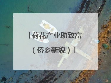 荷花产业助致富（侨乡新貌）