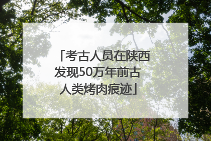 考古人员在陕西发现50万年前古人类烤肉痕迹