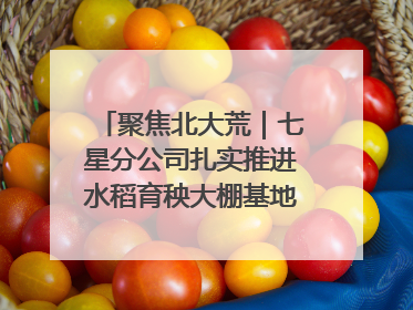 聚焦北大荒｜七星分公司扎实推进水稻育秧大棚基地清理整治工作
