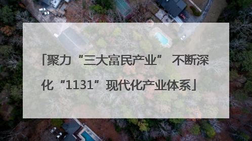 聚力“三大富民产业” 不断深化“1131”现代化产业体系