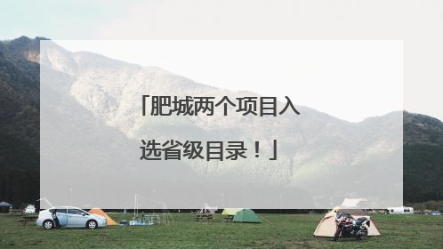 肥城两个项目入选省级目录！