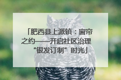 肥西县上派镇：窗帘之约——开启社区治理“银发订制”时光