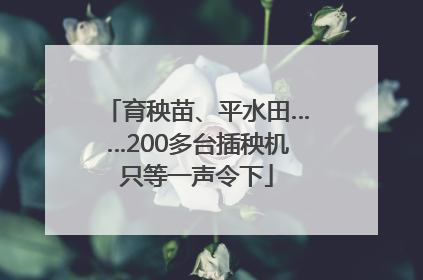 育秧苗、平水田……200多台插秧机只等一声令下