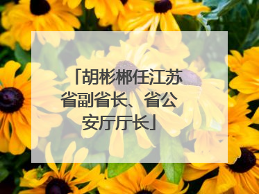 胡彬郴任江苏省副省长、省公安厅厅长