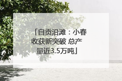自贡沿滩：小春收获新突破 总产量近3.5万吨