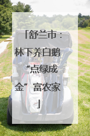 舒兰市：林下养白鹅 “点绿成金”富农家