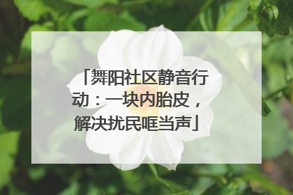舞阳社区静音行动：一块内胎皮，解决扰民哐当声