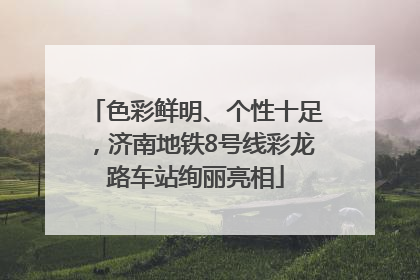 色彩鲜明、个性十足，济南地铁8号线彩龙路车站绚丽亮相