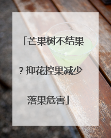 芒果树不结果？抑花控果减少落果危害