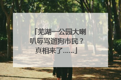 芜湖一公园大喇叭辱骂遛狗市民？真相来了……