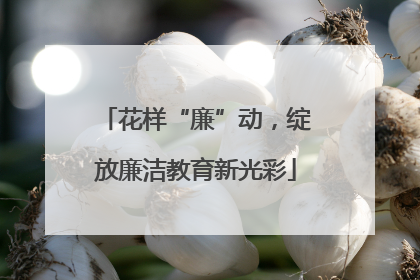 花样“廉”动，绽放廉洁教育新光彩