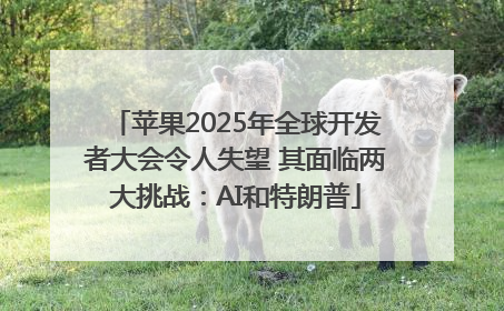 苹果2025年全球开发者大会令人失望 其面临两大挑战：AI和特朗普