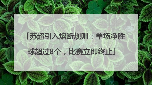 苏超引入熔断规则：单场净胜球超过8个，比赛立即终止