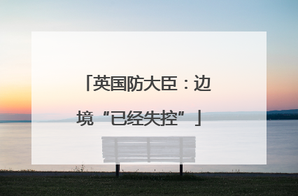 英国防大臣：边境“已经失控”