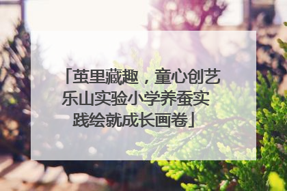 茧里藏趣，童心创艺 乐山实验小学养蚕实践绘就成长画卷
