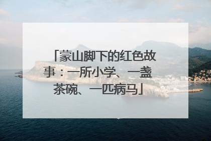 蒙山脚下的红色故事：一所小学、一盏茶碗、一匹病马