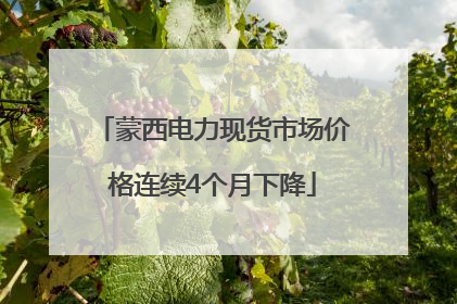 蒙西电力现货市场价格连续4个月下降
