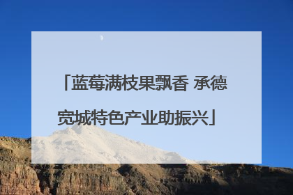 蓝莓满枝果飘香 承德宽城特色产业助振兴