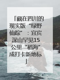 藏在四川的现实版“绿野仙踪”：宜宾深山罕见15公里“稻海”成打卡新地标