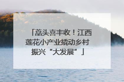 藠头喜丰收！江西莲花小产业撬动乡村振兴“大发展”