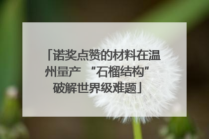 诺奖点赞的材料在温州量产 “石榴结构”破解世界级难题