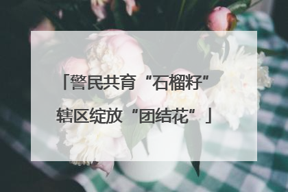 警民共育“石榴籽” 辖区绽放“团结花”
