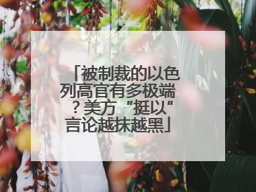 被制裁的以色列高官有多极端？美方“挺以”言论越抹越黑