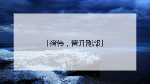 褚伟，晋升副部