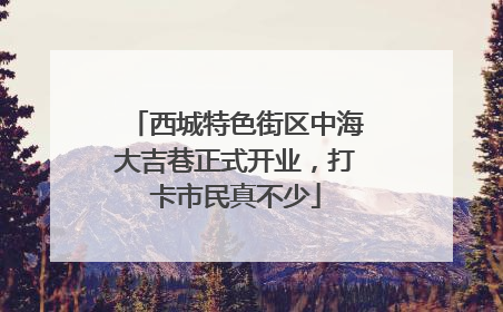 西城特色街区中海大吉巷正式开业，打卡市民真不少